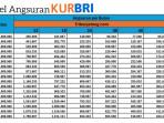 Tabel-Angsuran-KUR-BRI-2025-plafon-Rp-1-Juta-hingga-Rp-20-Juta.jpg