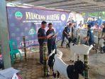 Tampak-Lomba-Wedus-Tim-penilai-tampak-mengamati-masing-masing-kambing.jpg