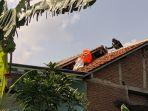 Tim-Animal-Rescue-BPBD-Kudus-tawon-vespa.jpg