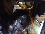 Tim-Inafis-Polres-Sukabumi-memeriksa-kondisi-mayat-dan-mobil-di-Cireunghas.jpg