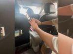 Viral-Pemerasan-Sopir-Taksi-di-Bali.jpg