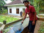 budidaya-lobster-air-tawar-binangun.jpg