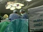 donor-organ_20150617_225526.jpg
