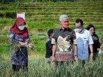 ganjar-tinjau-sawah-di-tegal.jpg