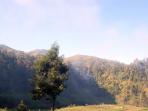 gunung-lawu-jalur-pendakian-8-agust.jpg