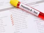 ilustrasi-hepatitis-b.jpg