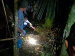 jatuh-dari-pohon-nangka-setinggi-10-meter-saat.jpg