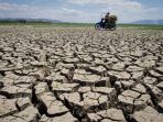 Waspadai Penyakit Ini di Musim Kemarau