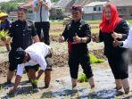 mentan-tanam-padi-di-kota-semarang.jpg