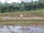 pemkab-purbalingga-kucurkan-rp-305-juta-garap-potensi-desa-wisata_20150416_175230.jpg