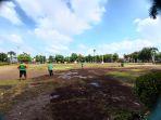 pemupukan-rumput-di-Simpang-Tujuh.jpg