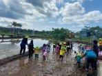 persawahan-tapak-hapsari.jpg