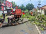 pohon-tumbang-di-Jalan-Kolonel-Sunandar.jpg