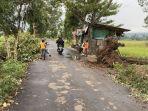 pohon-tumbang-kena-angin-puting-beliung-tuntang.jpg