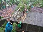 rumah-mankarto-tertimpa-pohon.jpg