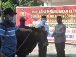 sapi-polres-wonogiri-1.jpg