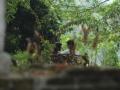sepasang-remaja-memadu-kasih.jpg