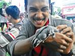 sugar-glider-hewan-khas-papua-berbulu-lembut-menggemaskan.jpg