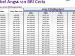 Pinjaman Online Bunga Rendah BRI, Plafon Rp 10 Juta Bunganya Rp 250 Ribu