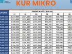 tabel-angsuran-kur-bri-2023-rp-20-30-juta.jpg
