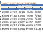 tabel-pinjaman-KUR-BRI-2025-Rp-175-Juta-500-Juta-periode-Februari-2025.jpg