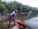 tambak-ikan-yang-jebol-dampak-banjir-rob.jpg