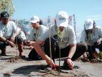 tanam-mangrove-kota-pekalongan.jpg