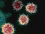 varian-terbaru-virus-corona-varian-yang-ditemukan-di-inggris-afrika-selatan-ditemukan-di-jepang.jpg