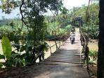 video-jembatan-gantung-akses-utama-di-desa-tribuana-banjarnegara.jpg