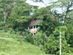 villa-nabila.jpg