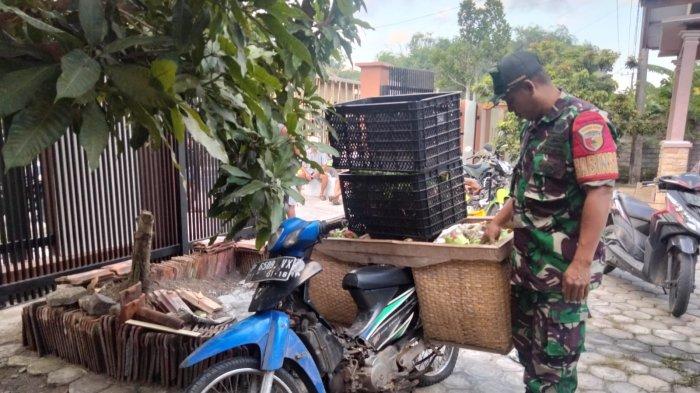 Petani Buah Naga Banyuwangi Resah Ulah Maling, Marak Sebulan Terakhir