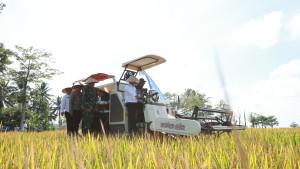 PANEN-Wakil-Bupati-Banyuwangi-Mujono-melakukan-panen-Demonstration-Plot.jpg