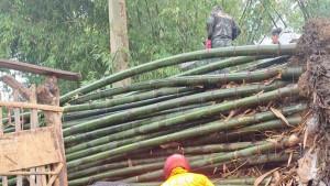 TERTIMPA-BAMBU-BPBD-dan-Warga-evakuasi.jpg