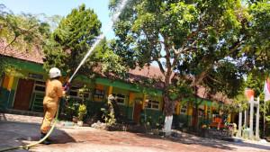 Ulat-bulu-kabupaten-Bondowoso.jpg