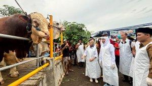 sapi-mas-bro-prabowos.jpg