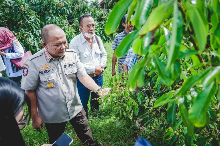 Bupati-Jember-Hendy-Siswato-sambang-kebun-kelengkeng-Jemsu-di-DesaKecamatan-Semboro.jpg