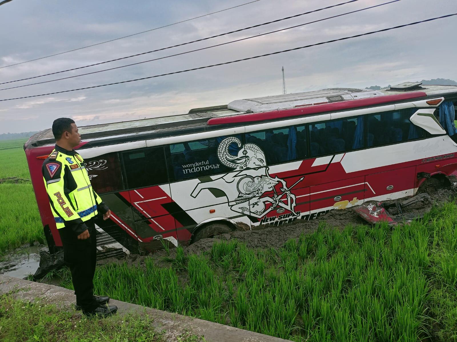 Seorang Tewas saat Bus Adu Banteng dengan Pikap, Sopir Bus Kabur