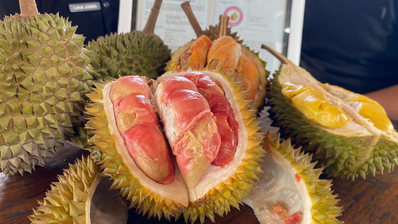 DURIAN-MERAH-Durian-Merah-Banyuwangi.jpg