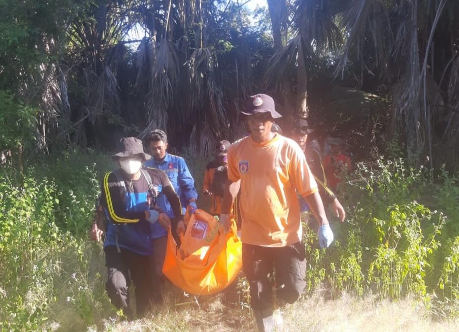 Warga Hilang Saat Merumput di TN Baluran Ditemukan Temukan Tewas Tertimpa Pohon