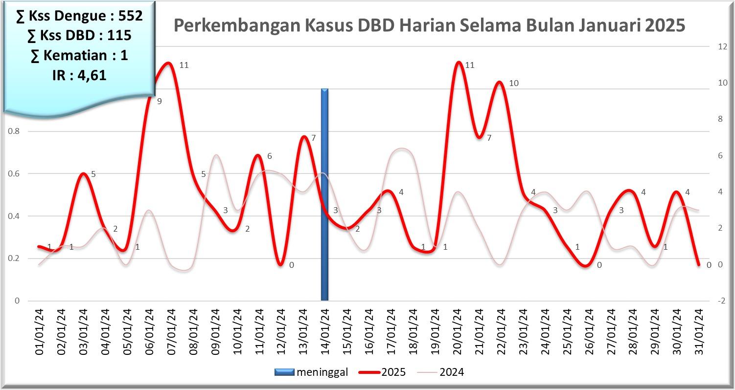 Grafik-DBD-Jember-Januari-2025.jpg