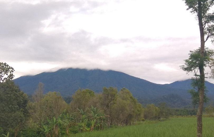 Gunung-Raung-Kamis-26-Januari-2023.jpg