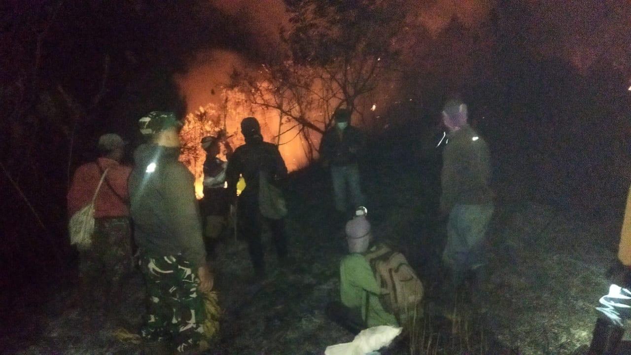 Kebakaran Hutan Gunung Suket Bondowoso Hanguskan 10 Hektar, Diduga Ulah Manusia