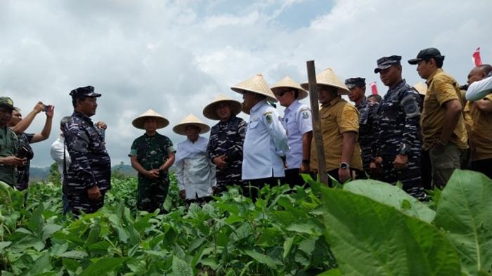 KEDELAI-Acara-Panen-Ketahanan-Pangan-TNI-AL-Rabu.jpg