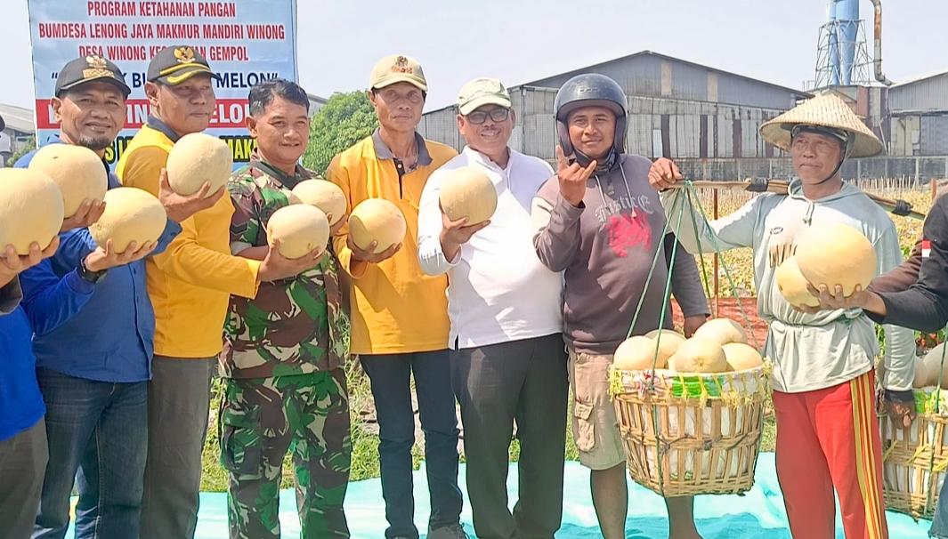 Ketua-DPRD-Kabupaten-Pasuruan-Samsul-Hidayat-saat-ikut-dalam-panen-melon.jpg