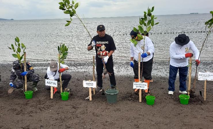 Penanaman-mangrove-Situbondo.jpg