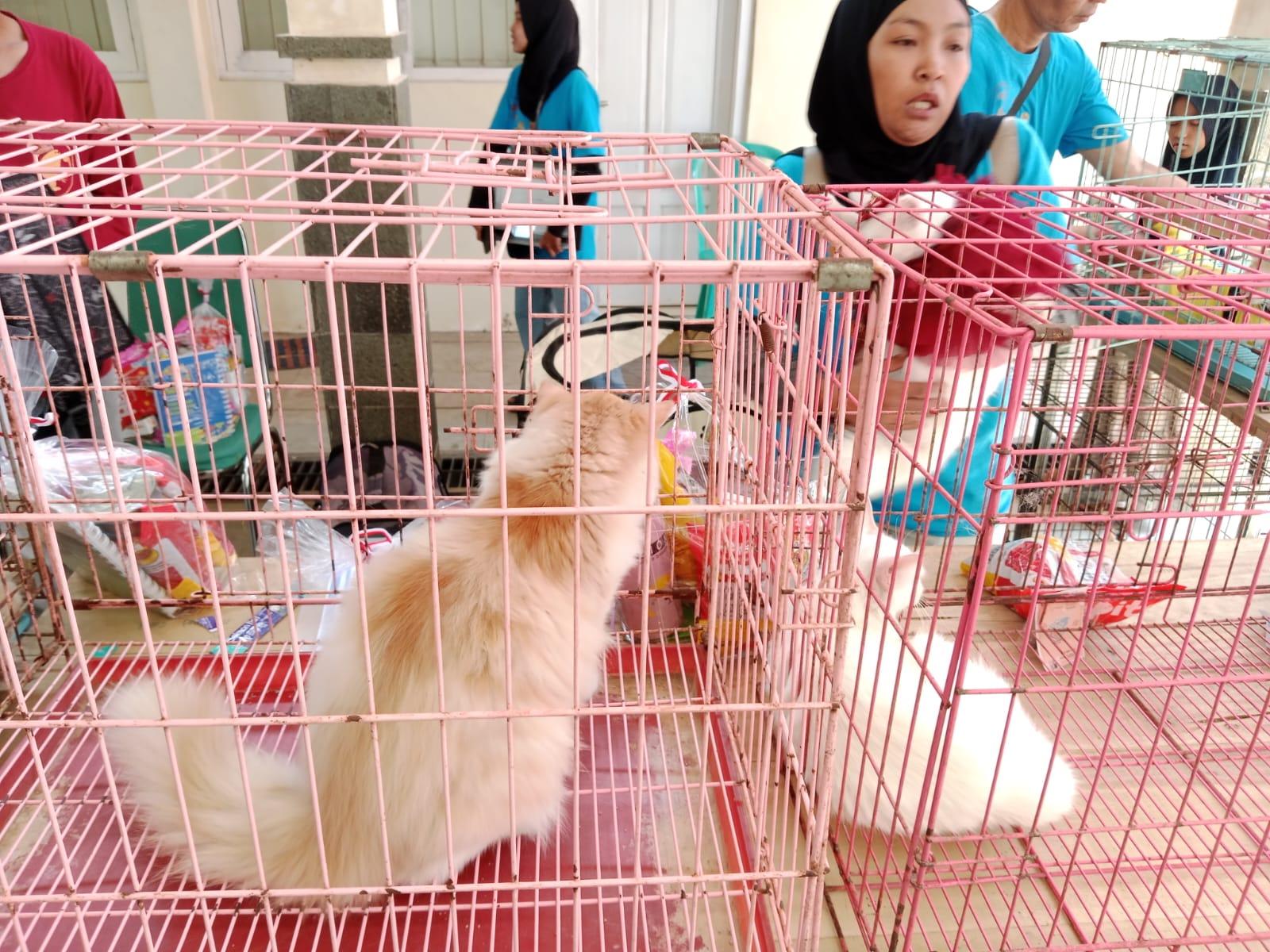 Terima 117 Dosis Vaksin Rabies, Disnakkan Bondowoso Perluas Program Vaksinasi Hewan