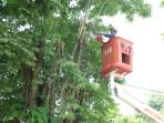 DIPOTONG-Personel-BPBD-melakukan-perempesan-pohon.jpg