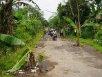 Jalan-di-Lumajang-ditanami-pohon-pisang.jpg