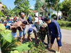 PEMBUANGAN-BAYI-jember-3.jpg