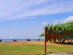 Pantai-Beach-Forest-Stb.jpg